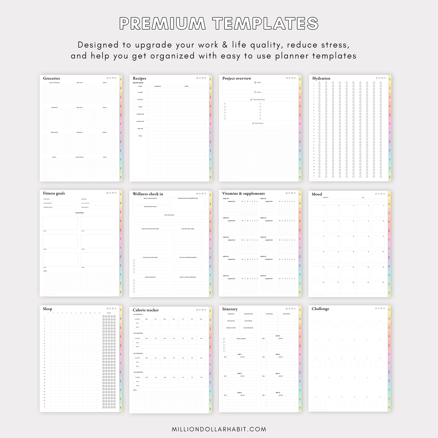 Premium Planner - Million Dollar Habit - 2023 Digital Planner